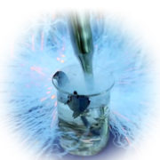 Cesium0